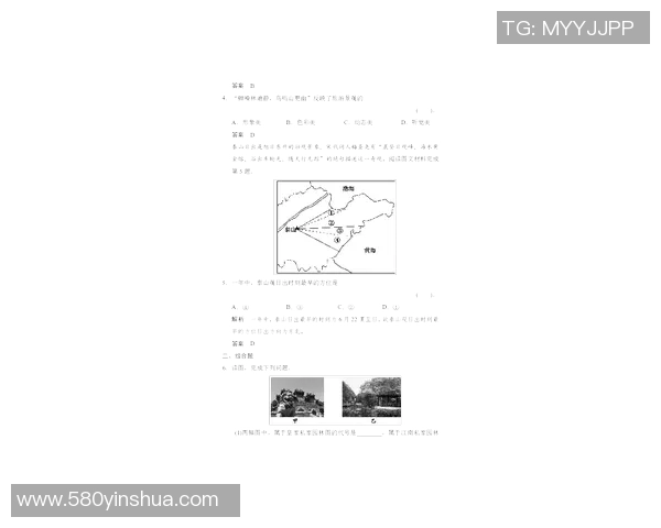 自由泳技巧全面解析 从入门到精通的实用训练方法与要点