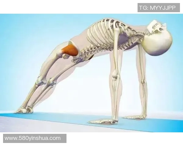 仰泳对身体的全面益处及其改善肌肉力量与灵活性的效果分析