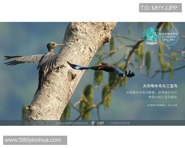 雄鹿栖息地保护与生态平衡的研究及其对生物多样性的影响分析