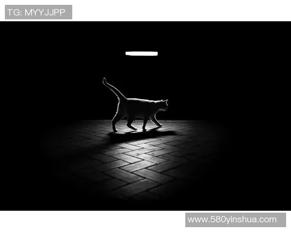 探索光影的艺术：摄影技巧、创意表达与视觉故事的完美融合